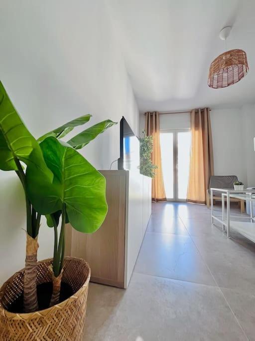 Lovely Apartment Close By City Center Málaga Exteriör bild